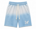 Monarc BM shorts (SKY BLEU)