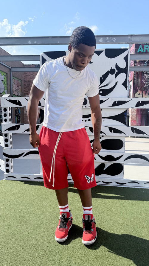 Monarc BM shorts (RED)